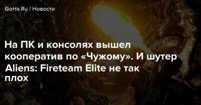 Ридли Скотт - На ПК и консолях вышел кооператив по «Чужому». И шутер Aliens: Fireteam Elite не так плох - goha.ru