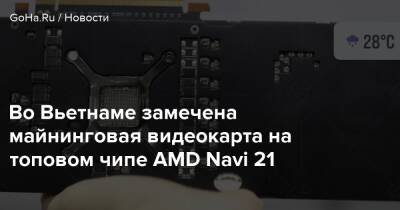 Во Вьетнаме замечена майнинговая видеокарта на топовом чипе AMD Navi 21 - goha.ru - Вьетнам