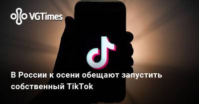 В России к осени обещают запустить собственный TikTok - vgtimes.ru - Россия