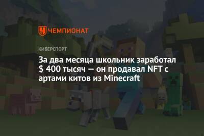 За два месяца школьник заработал $ 400 тысяч — он продавал NFT с артами китов из Minecraft - championat.com