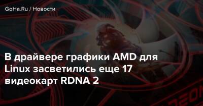 В драйвере графики AMD для Linux засветились еще 17 видеокарт RDNA 2 - goha.ru