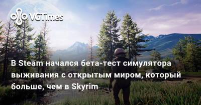 В Steam начался бета-тест симулятора выживания с открытым миром, который больше, чем в Skyrim - vgtimes.ru