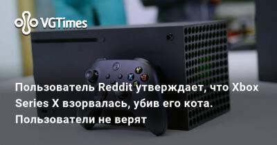 Пользователь Reddit утверждает, что Xbox Series X взорвалась, убив его кота. Пользователи не верят - vgtimes.ru