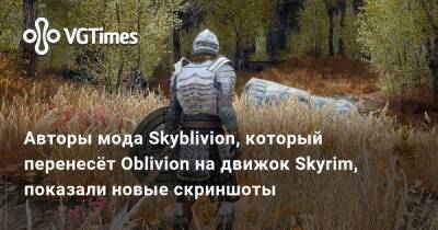 Авторы мода Skyblivion, который перенесёт Oblivion на движок Skyrim, показали новые скриншоты - vgtimes.ru