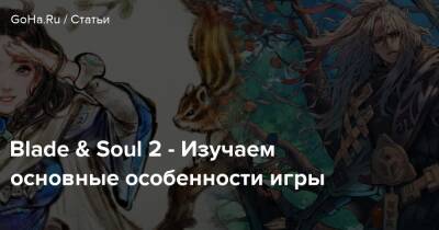 Blade & Soul 2 - Изучаем основные особенности игры - goha.ru - Корея