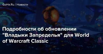 Подробности об обновлении “Владыки Запределья” для World of Warcraft Classic - goha.ru