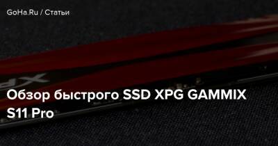 Обзор быстрого SSD XPG GAMMIX S11 Pro - goha.ru