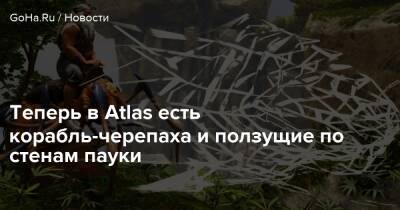 Теперь в Atlas есть корабль-черепаха и ползущие по стенам пауки - goha.ru