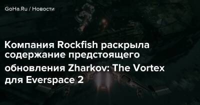 Компания Rockfish раскрыла содержание предстоящего обновления Zharkov: The Vortex для Everspace 2 - goha.ru