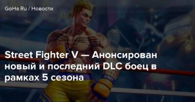 Street Fighter V — Анонсирован новый и последний DLC боец в рамках 5 сезона - goha.ru