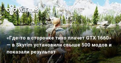 «Где-то в сторонке тихо плачет GTX 1660» — в Skyrim установили свыше 500 модов и показали результат - vgtimes.ru
