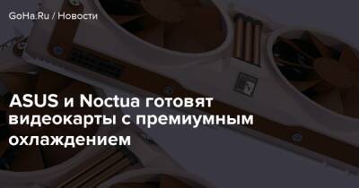 ASUS и Noctua готовят видеокарты с премиумным охлаждением - goha.ru