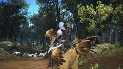 Тодд Говард - Раздает Oblivion: геймер нашел двойника Тодда Говарда в видеоигре Final Fantasy XIV – фото - games.24tv.ua