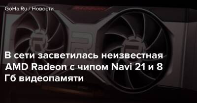 В сети засветилась неизвестная AMD Radeon с чипом Navi 21 и 8 Гб видеопамяти - goha.ru