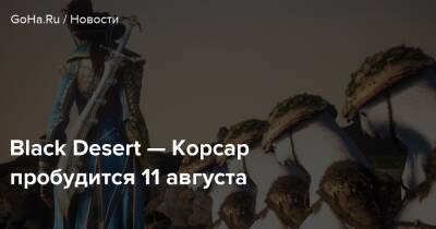 Black Desert — Корсар пробудится 11 августа - goha.ru