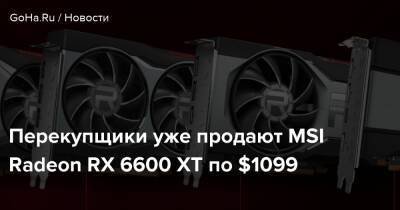 Перекупщики уже продают MSI Radeon RX 6600 XT по $1099 - goha.ru