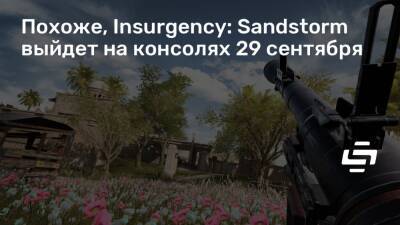 Похоже, Insurgency: Sandstorm выйдет на консолях 29 сентября - stopgame.ru