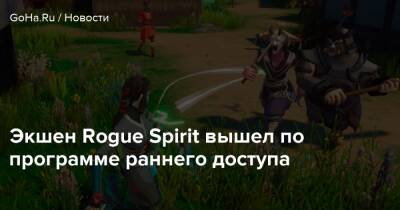 Экшен Rogue Spirit вышел по программе раннего доступа - goha.ru
