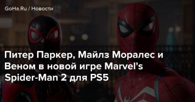 Майлз Моралес - Питер Паркер - Playstation Showcase - Питер Паркер, Майлз Моралес и Веном в новой игре Marvel's Spider-Man 2 для PS5 - goha.ru