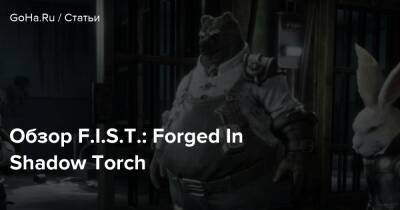 Обзор F.I.S.T.: Forged In Shadow Torch - goha.ru - Китай