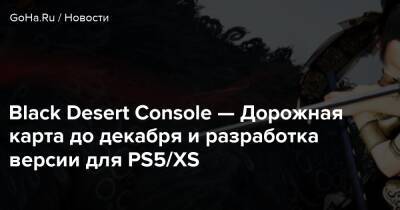 Black Desert Console — Дорожная карта до декабря и разработка версии для PS5/XS - goha.ru
