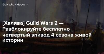 [Халява] Guild Wars 2 — Разблокируйте бесплатно четвертый эпизод 4 сезона живой истории - goha.ru