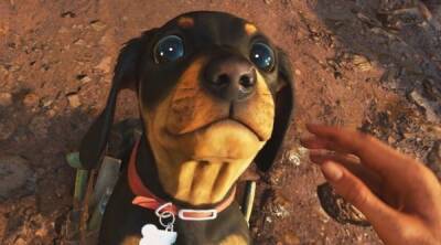 Новое видео Far Cry 6 взаимодействия с животными - playground.ru