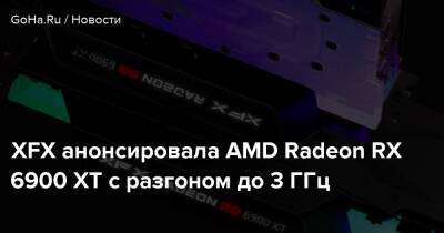 XFX анонсировала AMD Radeon RX 6900 XT с разгоном до 3 ГГц - goha.ru
