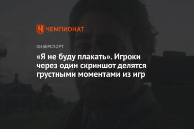 «Я не буду плакать». Игроки через один скриншот делятся грустными моментами из игр - championat.com