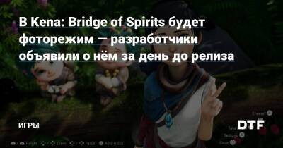 В Kena: Bridge of Spirits будет фоторежим — разработчики объявили о нём за день до релиза — Игры на DTF - dtf.ru