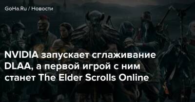 NVIDIA запускает сглаживание DLAA, а первой игрой с ним станет The Elder Scrolls Online - goha.ru