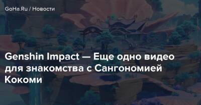 Бэй Доу - Genshin Impact — Еще одно видео для знакомства с Сангономией Кокоми - goha.ru