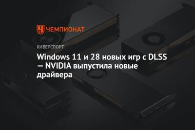 Alan Wake - Windows 11 и 28 новых игр с DLSS — NVIDIA выпустила новые драйвера - championat.com