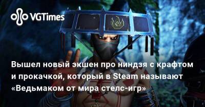 Вышел новый экшен про ниндзя с крафтом и прокачкой, который в Steam называют «Ведьмаком от мира стелс-игр» - vgtimes.ru