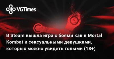 В Steam вышла игра с боями как в Mortal Kombat и сексуальными девушками, которых можно увидеть голыми (18+) - vgtimes.ru