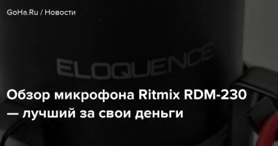 Обзор микрофона Ritmix RDM-230 — лучший за свои деньги - goha.ru