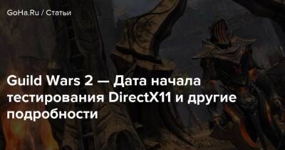 Guild Wars 2 — Дата начала тестирования DirectX11 и другие подробности - goha.ru