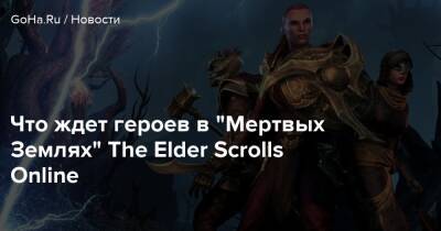 Zenimax Online - Что ждет героев в “Мертвых Землях” The Elder Scrolls Online - goha.ru - Фаргрейв