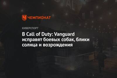 В Call of Duty: Vanguard исправят боевых собак, блики солнца и возрождения - championat.com