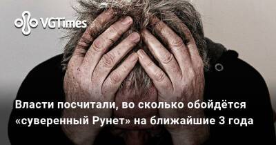 Власти посчитали, во сколько обойдётся «суверенный Рунет» на ближайшие 3 года - vgtimes.ru - Россия