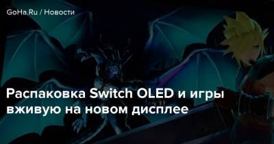 Распаковка Switch OLED и игры вживую на новом дисплее - goha.ru - Россия