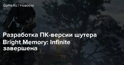 Разработка ПК-версии шутера Bright Memory: Infinite завершена - goha.ru