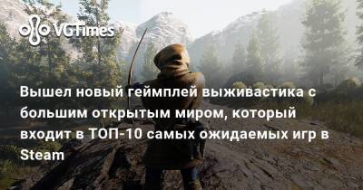 Вышел новый геймплей выживастика с большим открытым миром, который входит в ТОП-10 самых ожидаемых игр в Steam - vgtimes.ru