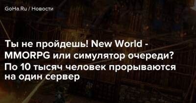 Ты не пройдешь! New World - MMORPG или симулятор очереди? По 10 тысяч человек прорываются на один сервер - goha.ru - Сша