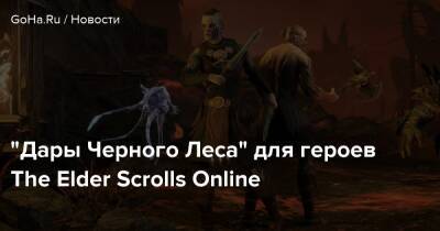 Zenimax Online - “Дары Черного Леса” для героев The Elder Scrolls Online - goha.ru