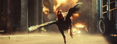 Петух бежит от властей в новом кинематографическом трейлере Far Cry 6 - gametech.ru
