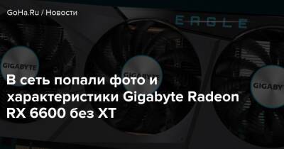В сеть попали фото и характеристики Gigabyte Radeon RX 6600 без XT - goha.ru