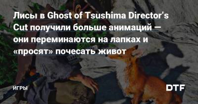 Лисы в Ghost of Tsushima Director’s Cut получили больше анимаций — они переминаются на лапках и «просят» почесать живот — Игры на DTF - dtf.ru