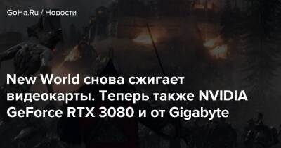 New World снова сжигает видеокарты. Теперь также NVIDIA GeForce RTX 3080 и от Gigabyte - goha.ru