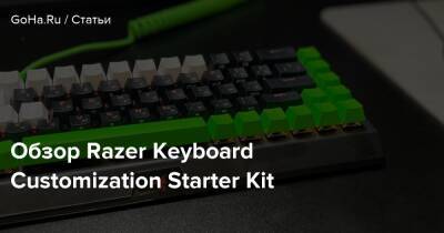 Обзор Razer Keyboard Customization Starter Kit - goha.ru